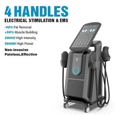 Ce / Fda Big Screen Profesional Ems Stimulator Otot Cantik Meningkatkan Bangunan Pelvic Floor Mesin Pelatihan